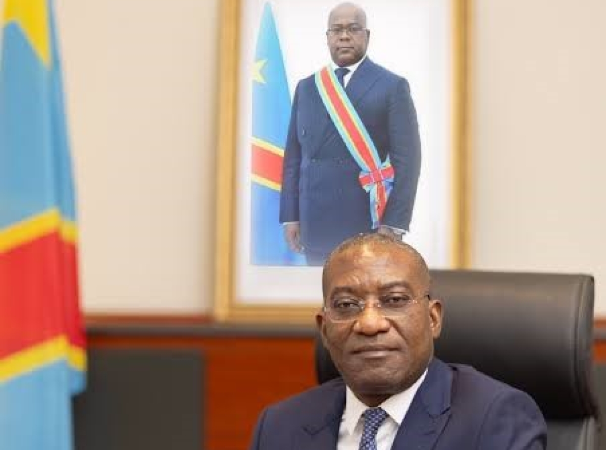 Financement du PNSD, Guylain Nyembo : ‘’Le Japon a une place privilégiée en RDC, terre d’investissement"